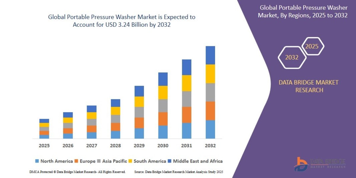 Portable Pressure Washer Market Trends, Insights and Future Outlook