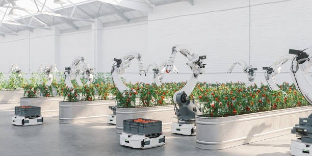 Food Processing Automation Market Insights: Growth Drivers, Industry Innovations & Future Outlook