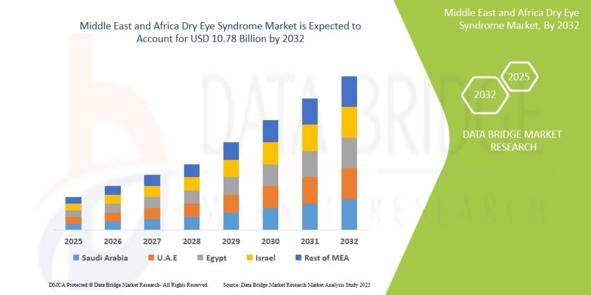 Middle East and Africa Dry Eye Syndrome Market: Size, Share, and Future Growth