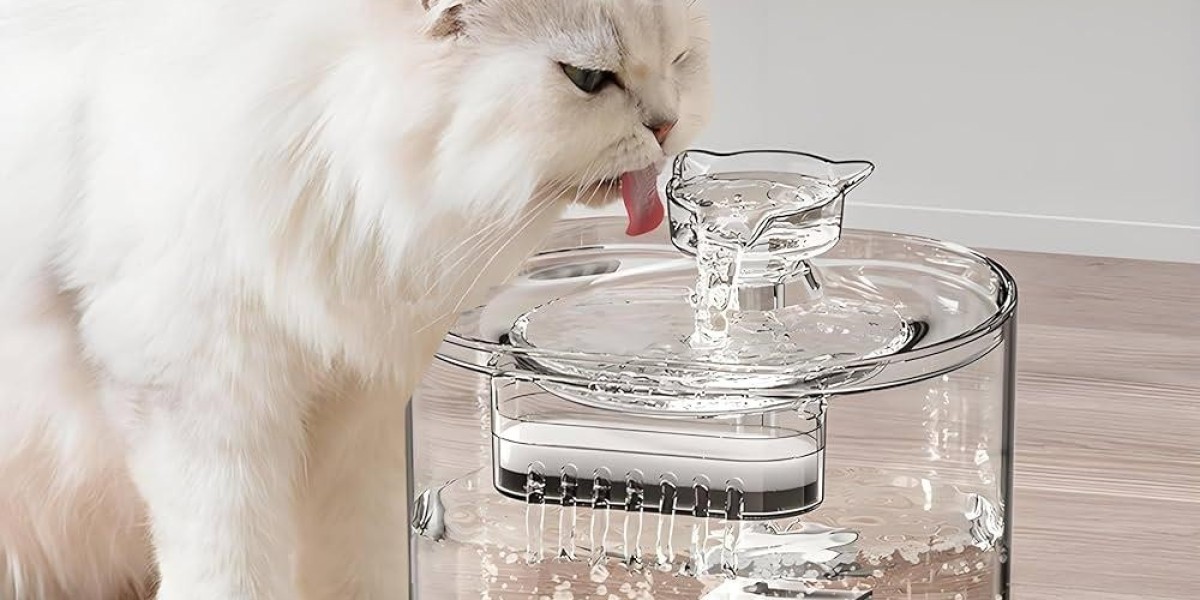 Why Pawtechpet Intelligent Pet Water Dispenser Reflects True Care